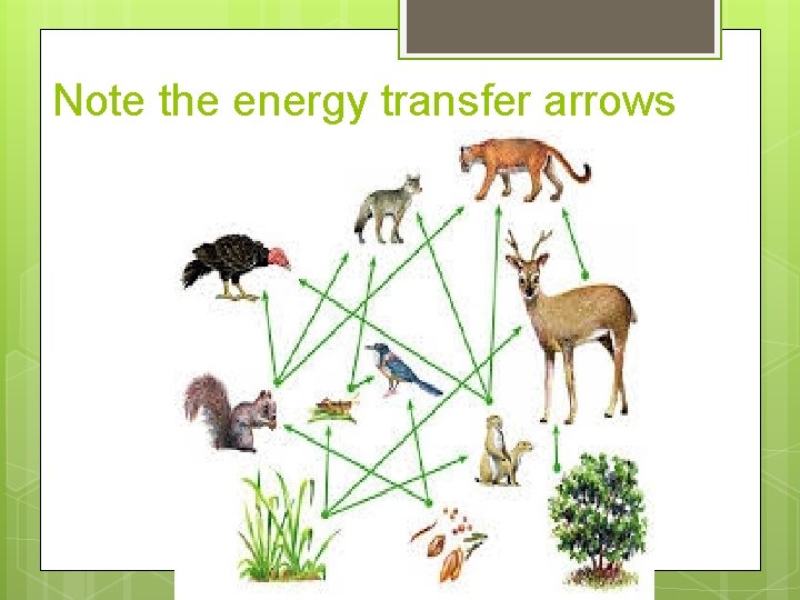 Note the energy transfer arrows 