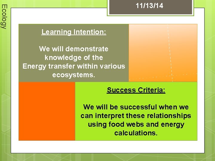 Ecology 11/13/14 Learning Intention: We will demonstrate knowledge of the Energy transfer within various