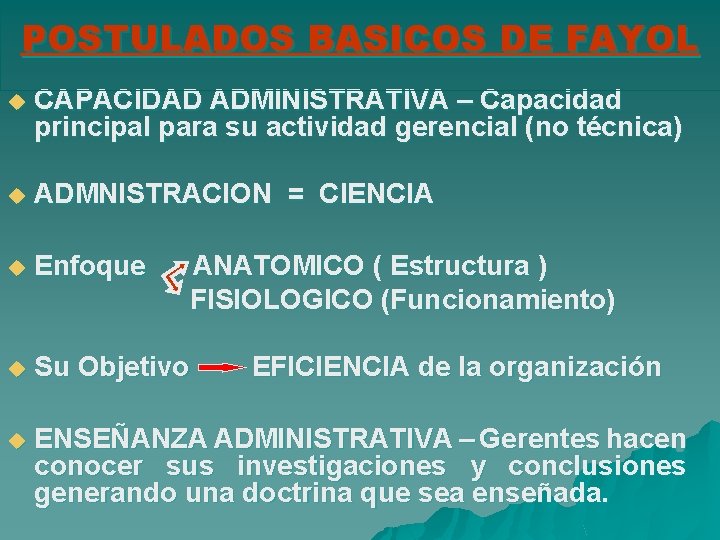 POSTULADOS BASICOS DE FAYOL u CAPACIDAD ADMINISTRATIVA – Capacidad principal para su actividad gerencial POSTULADOS BASICOS DE FAYOL u CAPACIDAD ADMINISTRATIVA – Capacidad principal para su actividad gerencial