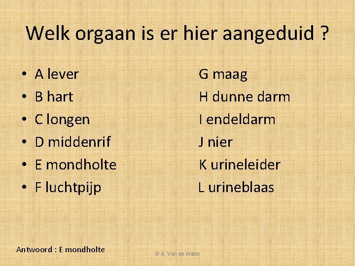 Welk orgaan is er hier aangeduid ? • • • A lever B hart