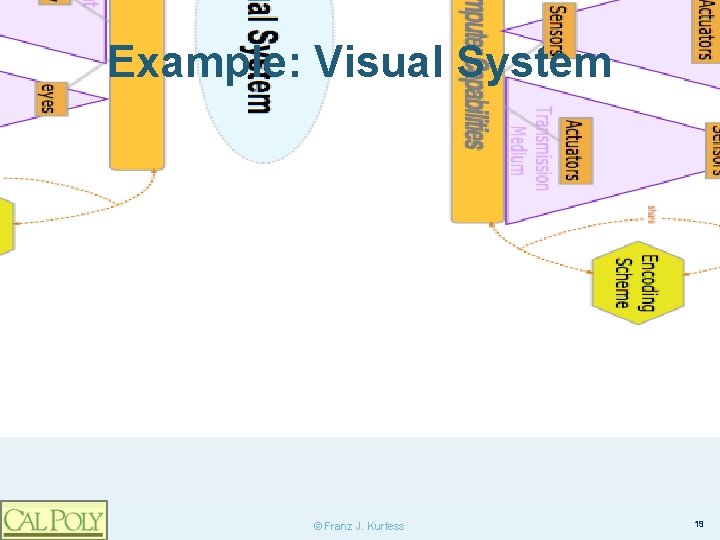 Example: Visual System © Franz J. Kurfess 19 