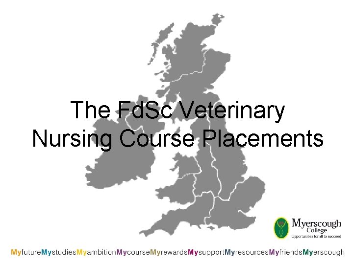 The Fd. Sc Veterinary Nursing Course Placements 