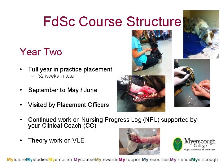 Fd. Sc Course Structure Year Two • Full year in practice placement – 32