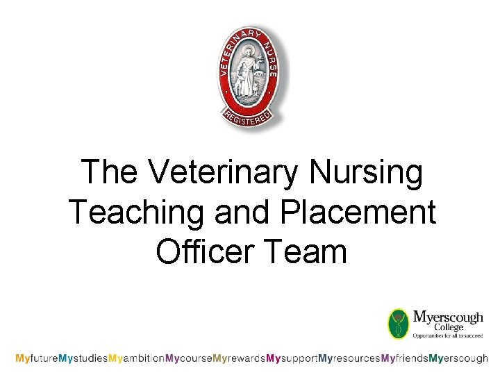 The Veterinary Nursing Teaching and Placement Officer Team 