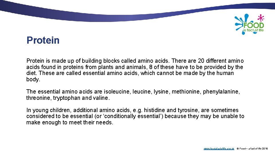 Protein is made up of building blocks called amino acids. There are 20 different