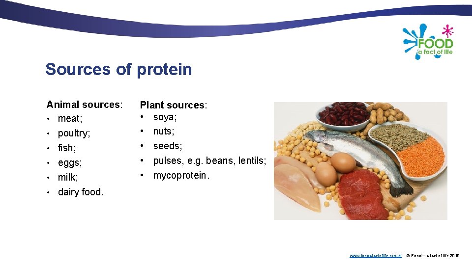 Sources of protein Animal sources: • meat; • poultry; • fish; • eggs; •