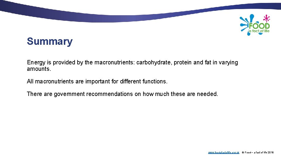 Summary Energy is provided by the macronutrients: carbohydrate, protein and fat in varying amounts.