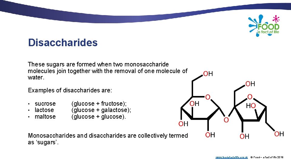 Disaccharides These sugars are formed when two monosaccharide molecules join together with the removal