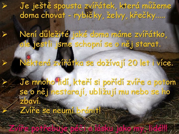 Ø Je ještě spousta zvířátek, která můžeme doma chovat - rybičky, želvy, křečky. .