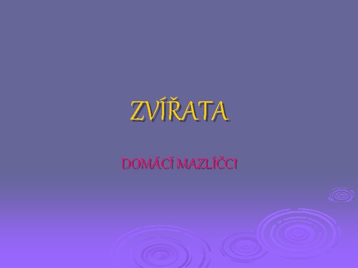 ZVÍŘATA DOMÁCÍ MAZLÍČCI 