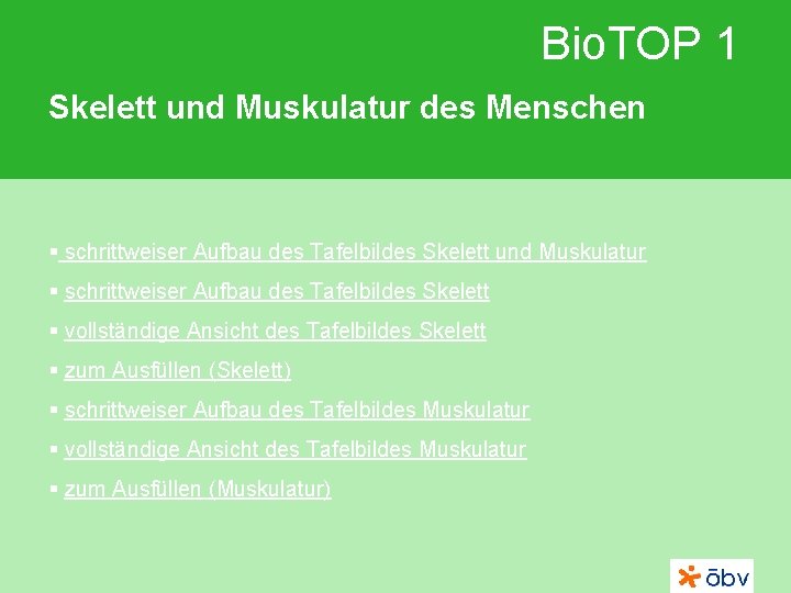 Bio. TOP 1 Skelett und Muskulatur des Menschen § schrittweiser Aufbau des Tafelbildes Skelett