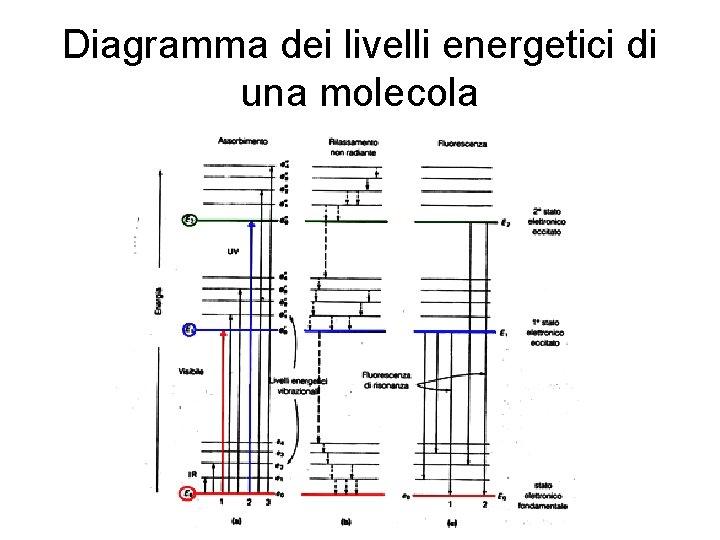 Diagramma dei livelli energetici di una molecola 