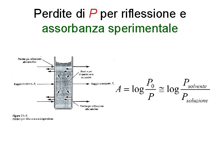 Perdite di P per riflessione e assorbanza sperimentale 