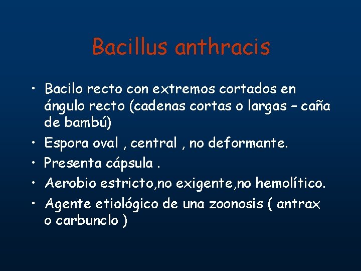 Bacillus anthracis • Bacilo recto con extremos cortados en ángulo recto (cadenas cortas o