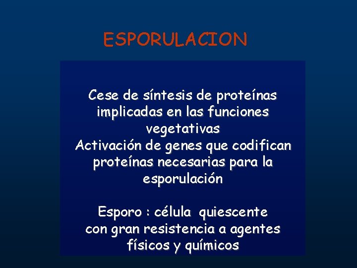 ESPORULACION Cese de síntesis de proteínas implicadas en las funciones vegetativas Activación de genes