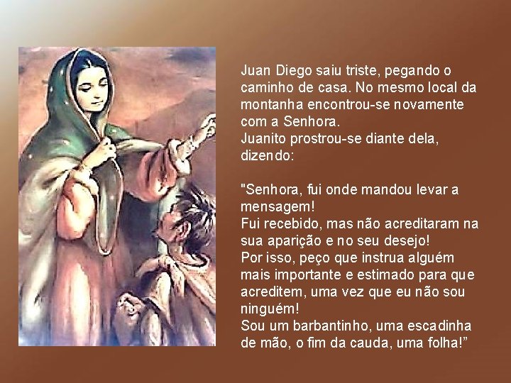 Juan Diego saiu triste, pegando o caminho de casa. No mesmo local da montanha