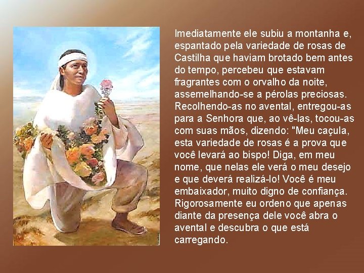 Imediatamente ele subiu a montanha e, espantado pela variedade de rosas de Castilha que