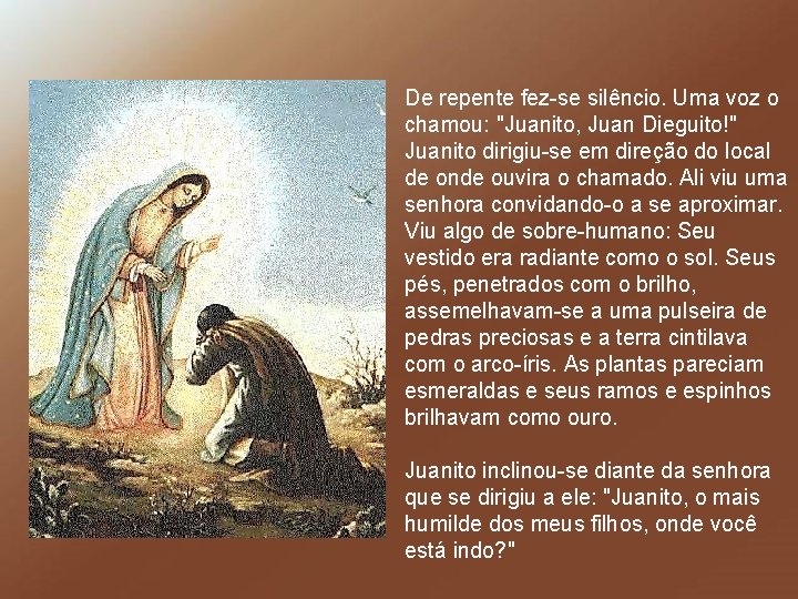 De repente fez-se silêncio. Uma voz o chamou: "Juanito, Juan Dieguito!" Juanito dirigiu-se em