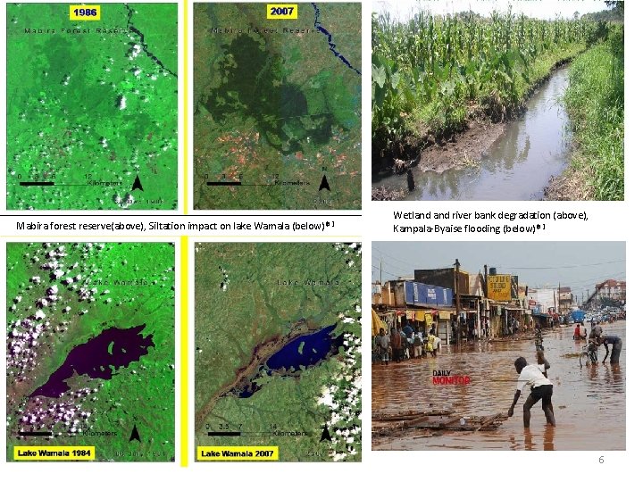 Mabira forest reserve(above), Siltation impact on lake Wamala (below)⁽⁸⁾ Wetland river bank degradation (above),