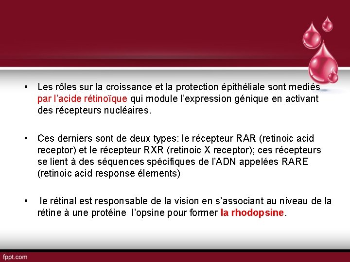  • Les rôles sur la croissance et la protection épithéliale sont mediés par