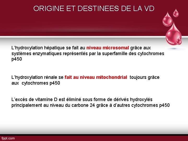 ORIGINE ET DESTINEES DE LA VD L’hydroxylation hépatique se fait au niveau microsomal grâce