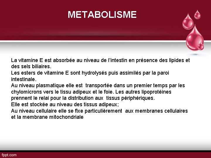 METABOLISME La vitamine E est absorbée au niveau de l’intestin en présence des lipides