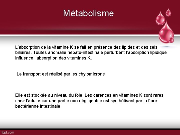 Métabolisme L’absorption de la vitamine K se fait en présence des lipides et des