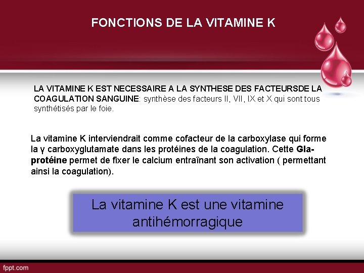 FONCTIONS DE LA VITAMINE K EST NECESSAIRE A LA SYNTHESE DES FACTEURSDE LA COAGULATION