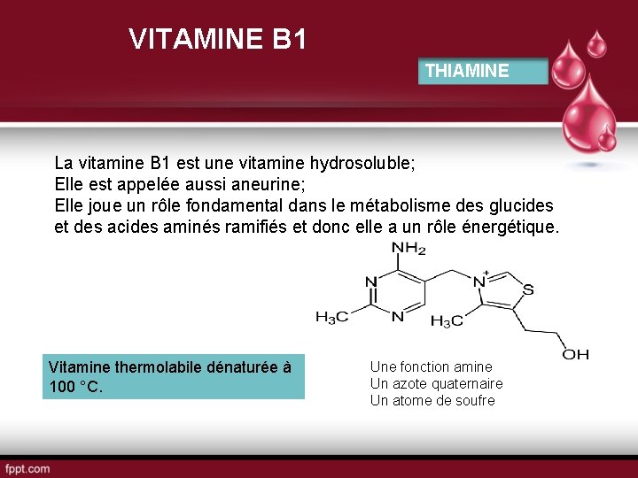 VITAMINE B 1 THIAMINE La vitamine B 1 est une vitamine hydrosoluble; Elle est