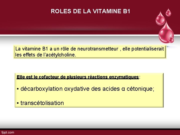 ROLES DE LA VITAMINE B 1 La vitamine B 1 a un rôle de