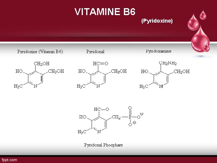 VITAMINE B 6 (Pyridoxine) 