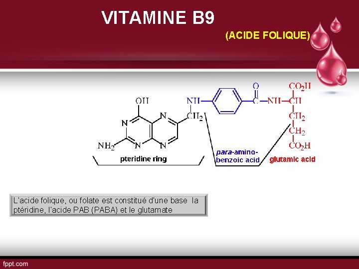 VITAMINE B 9 (ACIDE FOLIQUE) L’acide folique, ou folate est constitué d’une base la