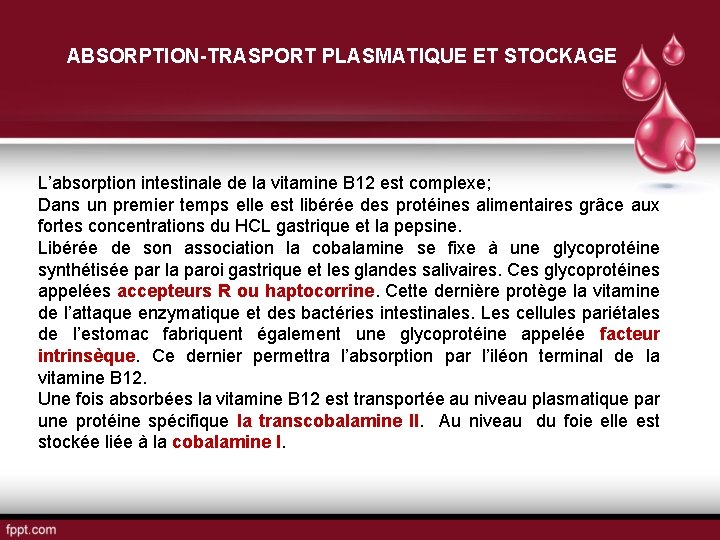 ABSORPTION-TRASPORT PLASMATIQUE ET STOCKAGE L’absorption intestinale de la vitamine B 12 est complexe; Dans