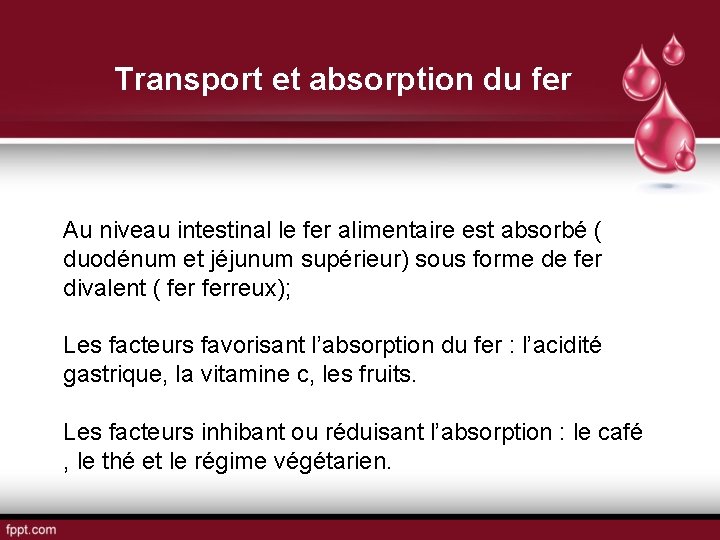 Transport et absorption du fer Au niveau intestinal le fer alimentaire est absorbé (