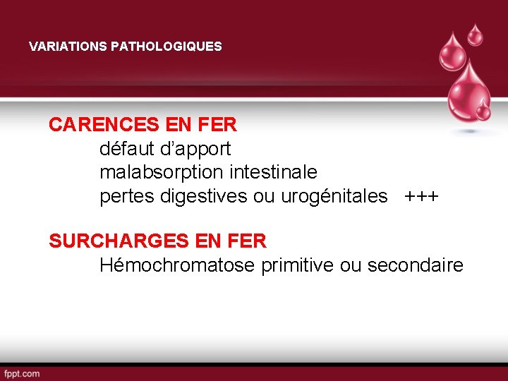 VARIATIONS PATHOLOGIQUES CARENCES EN FER défaut d’apport malabsorption intestinale pertes digestives ou urogénitales +++