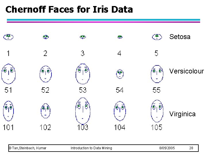 Chernoff Faces for Iris Data Setosa Versicolour Virginica © Tan, Steinbach, Kumar Introduction to