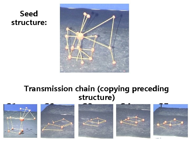 Seed structure: G 1 Transmission chain (copying preceding structure) G 2 G 3 G