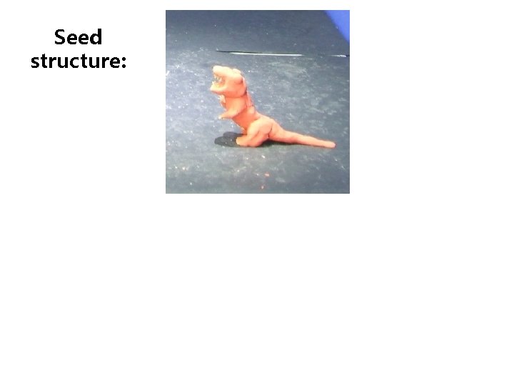 Seed structure: 