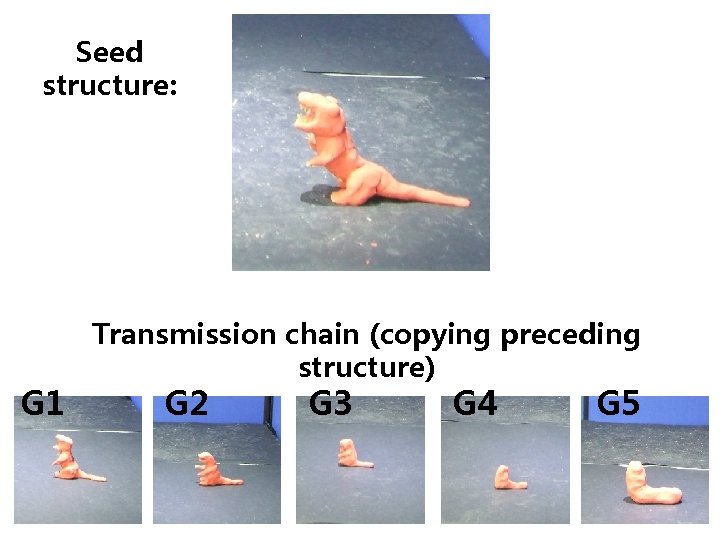 Seed structure: G 1 Transmission chain (copying preceding structure) G 2 G 3 G