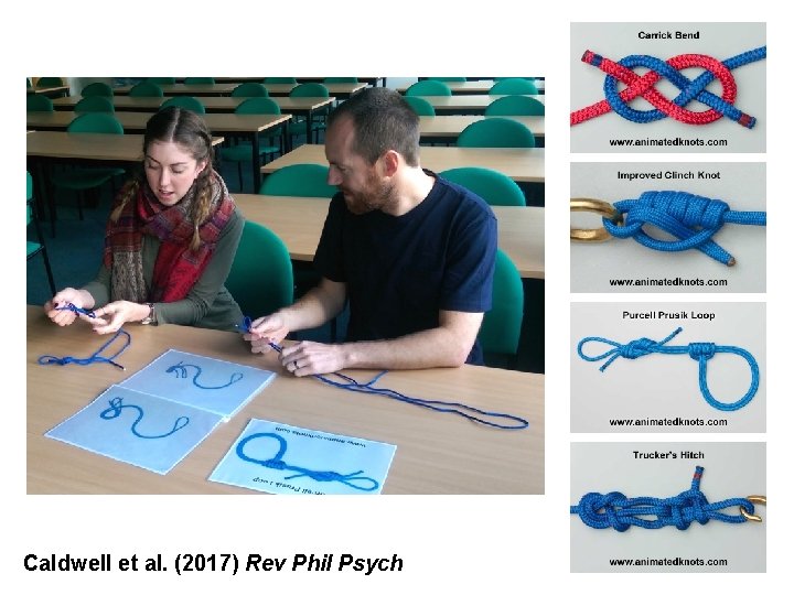 Caldwell et al. (2017) Rev Phil Psych 