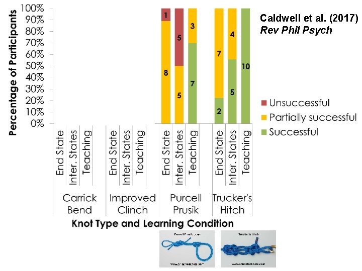 Caldwell et al. (2017) Rev Phil Psych 