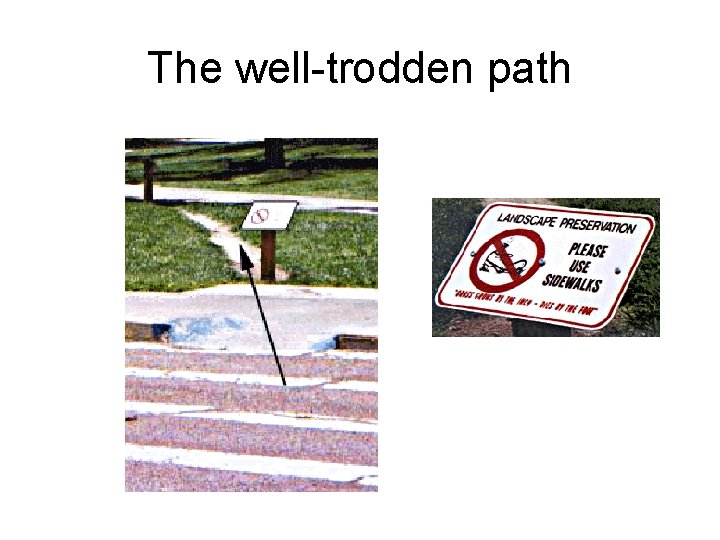 The well-trodden path The well-trodden path