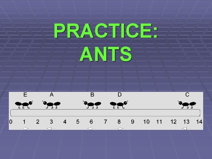 PRACTICE: ANTS 