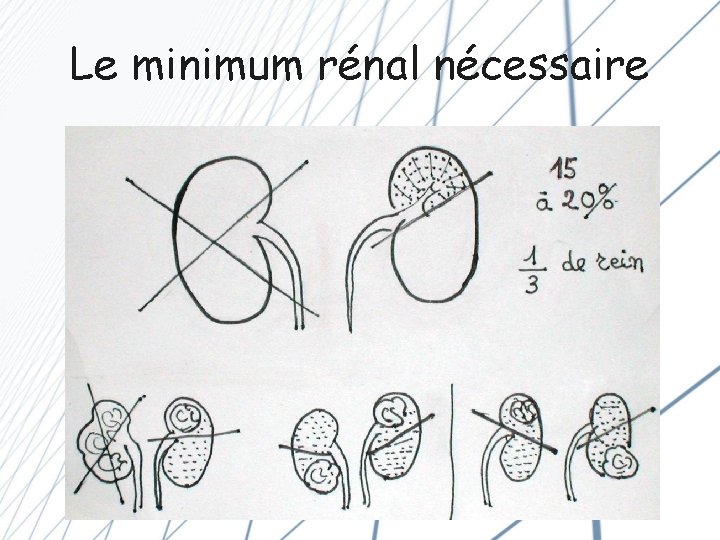 Le minimum rénal nécessaire 