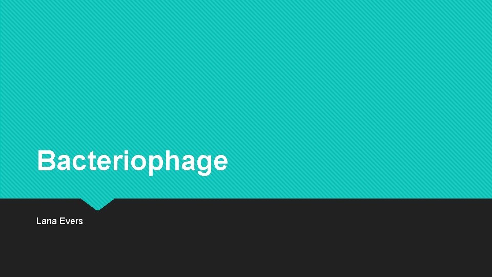 Bacteriophage Lana Evers 