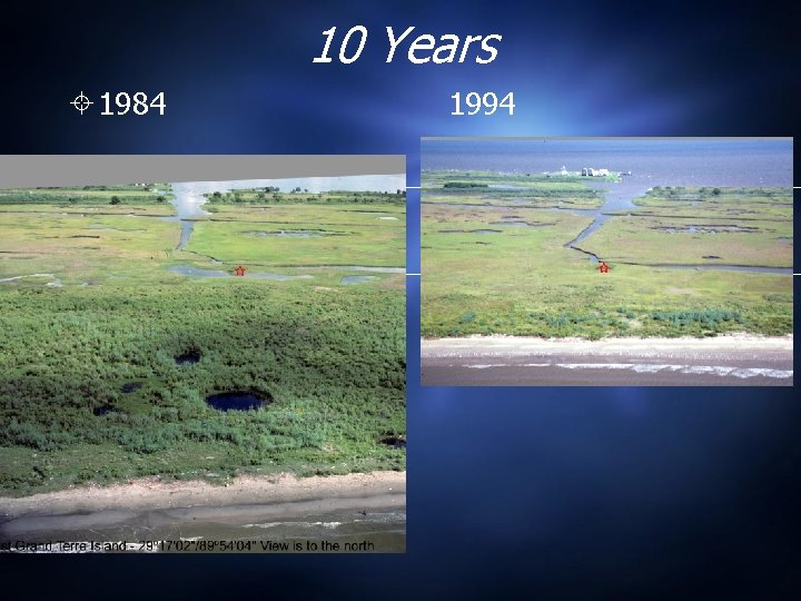10 Years 1984 1994 