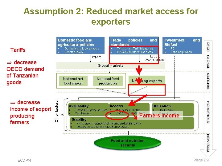 Assumption 2: Reduced market access for exporters Tariffs Þ decrease OECD demand of Tanzanian Assumption 2: Reduced market access for exporters Tariffs Þ decrease OECD demand of Tanzanian