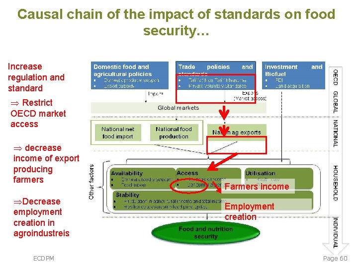 Causal chain of the impact of standards on food security… Increase regulation and standard Causal chain of the impact of standards on food security… Increase regulation and standard