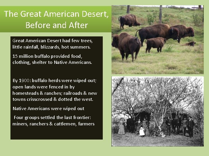 The Great American Desert, Before and After Great American Desert had few trees, little