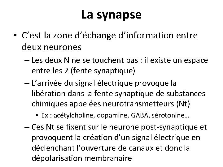 La synapse • C’est la zone d’échange d’information entre deux neurones – Les deux